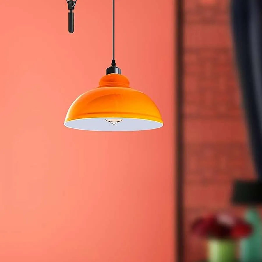 Vintage Single Head Curvy Shade Pendant Light