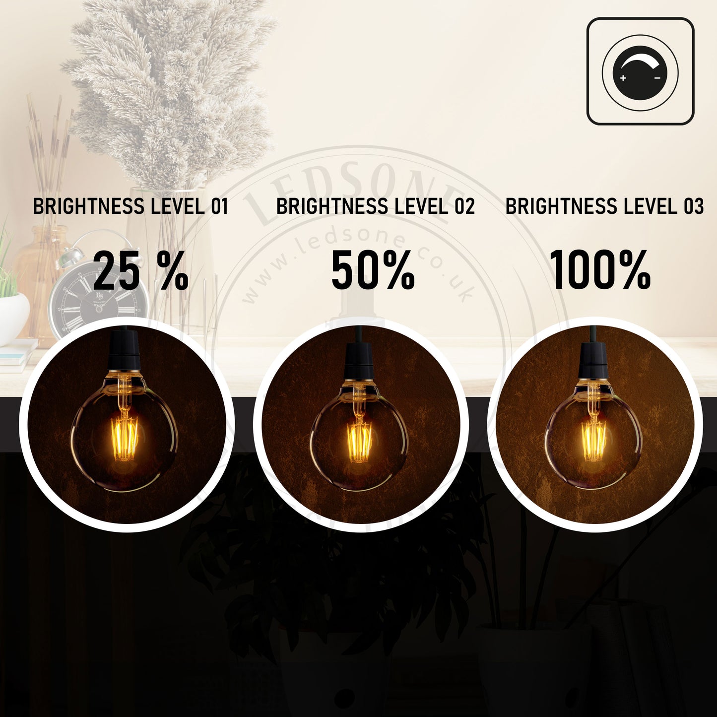 G95 E26 Edison Bulb 8W Dimmable LED  Light Bulb.JPG