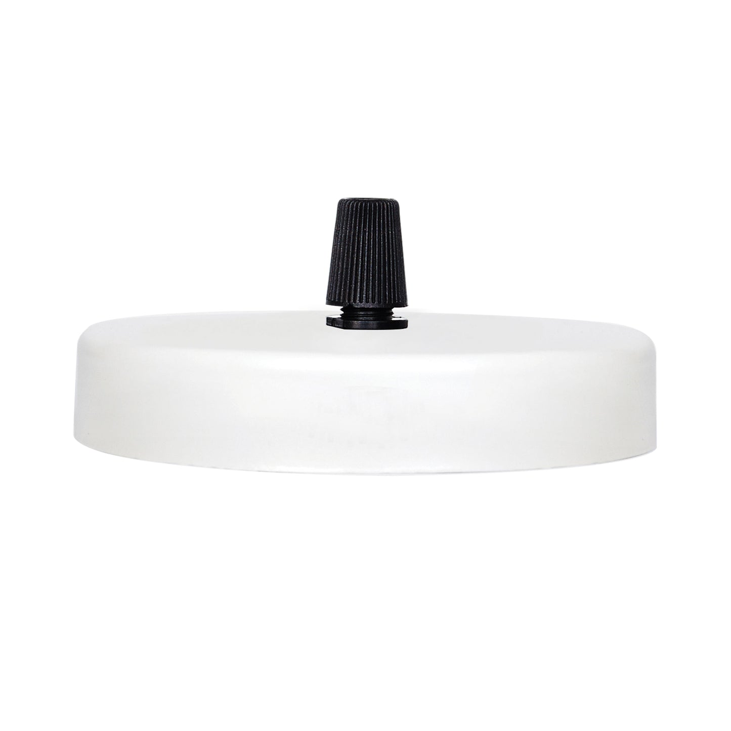 White Ceiling Rose Pendant Light fitting~1069
