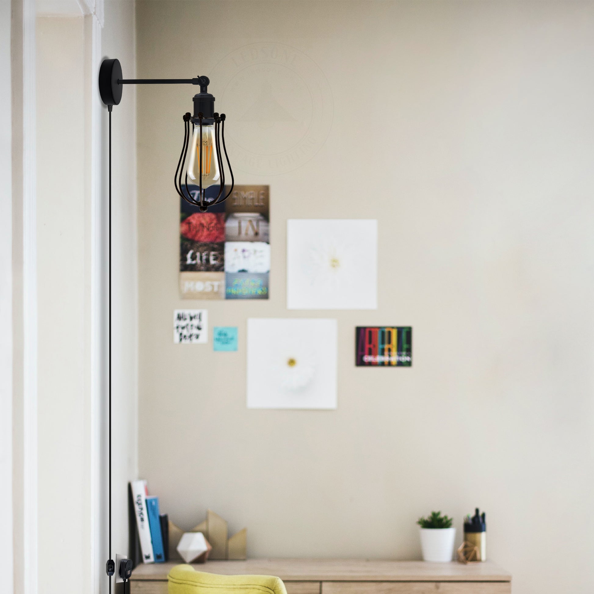 Balloon Wire Cage Plug-in wall Lamp .JPG