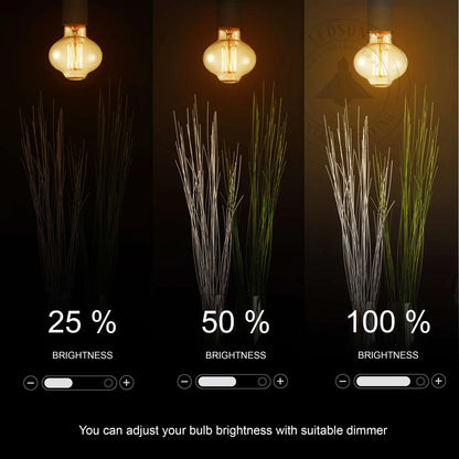 Vintage Retro Industrial Filament Bulb
