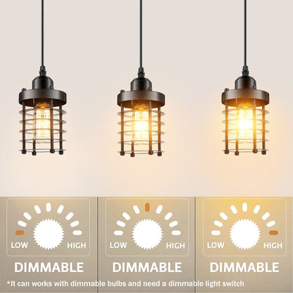  Round Cage Pendant light.JPG