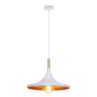 Modern Classy Single Lamp Disc Shaped Inner-Gold Cluster Ceiling Hanging Pendant Light E26 60W