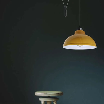 Vintage Single Head Curvy Shade Pendant Light 