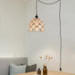 Vintage Industrial  Plug-in Pendant Hanging lampshade