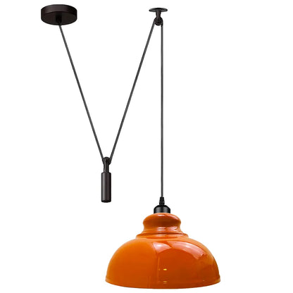 Vintage Single Head Curvy Shade Pendant Light 