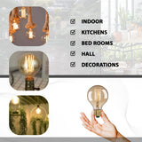 E26 G80 60W Dimmable Bulb~1050