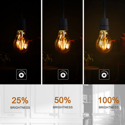 4W LED Light Bulbs A60 E26 Edison Bulb LED Filament Bulbs Warm White Dimmable