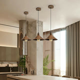 14 Inch Vintage Ceiling Pendant Lights Hanging Light Fixture
