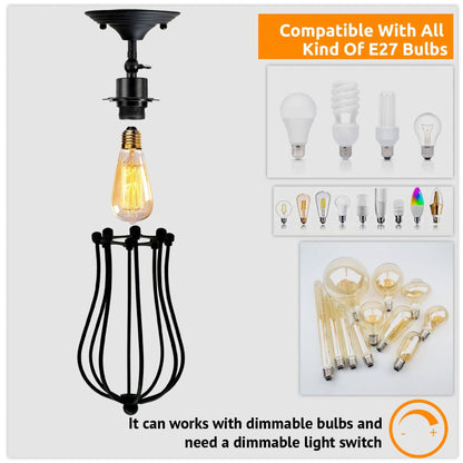 Black Balloon Cage Wall Sconce Lamp.JPG