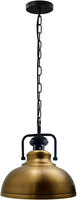 Industrial Vintage Retro Style Shade with Chain Hanging Pendant Light~1545