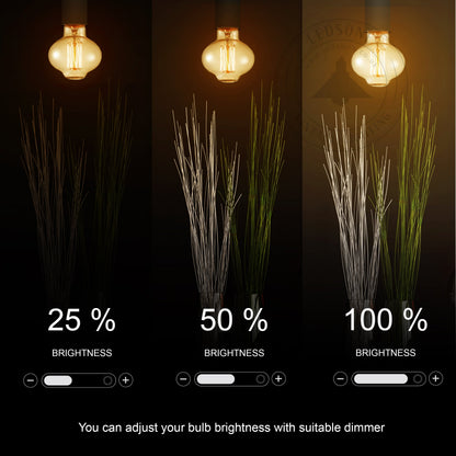 E26 MushRoom 60W Vintage Retro Industrial Filament Bulb 3 Pack