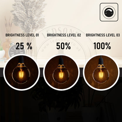 G95 E26 Edison Bulb 8W Dimmable LED  Light Bulb.JPG