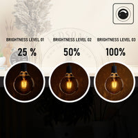 G95 E26 LED Edison Bulb 8W Dimmable LED Filament Vintage Light Bulb