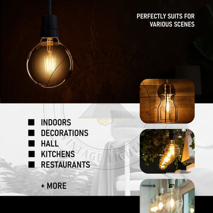 G95 E26 LED Edison Bulb 8W Dimmable LED Filament Vintage Light Bulb.JPG