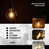 G95 E26 LED Edison Bulb 8W Dimmable LED Filament Vintage Light Bulb