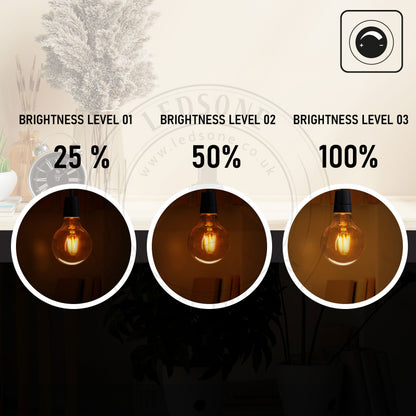 G95 4W LED Edison Bulb E26 Dimmable LED Filament Vintage Light Bulb