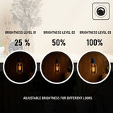 Vintage Retro Style Energy-saving LED 4W T45 E26 LED Bulb Pack 3
