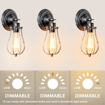 Brushed Silver Adjustable Sconce Wall Lamp.JPG