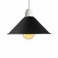 Black cone ceiling lamp shade.JPG