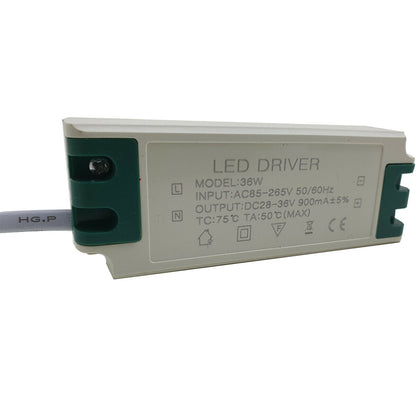 Constant Current 900mA High Power DC Connector Power Supply LED Ceiling light