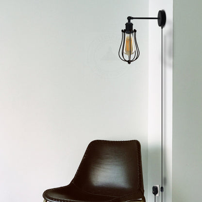  Balloon Wire Cage Plug-in wall Lamp  for indoor.JPG