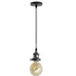 Brushed Siver Pendant Light.JPG