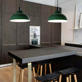 Metal Curvy Hanging Lamp Pendant Lights Ceiling Light Fixtures