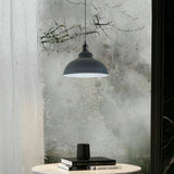 Metal Curvy Hanging Lamp Pendant Lights Ceiling Light Fixtures