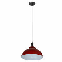 Metal Curvy Hanging Lamp Pendant Lights Ceiling Light Fixtures