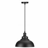 Metal Curvy Hanging Lamp Pendant Lights Ceiling Light Fixtures