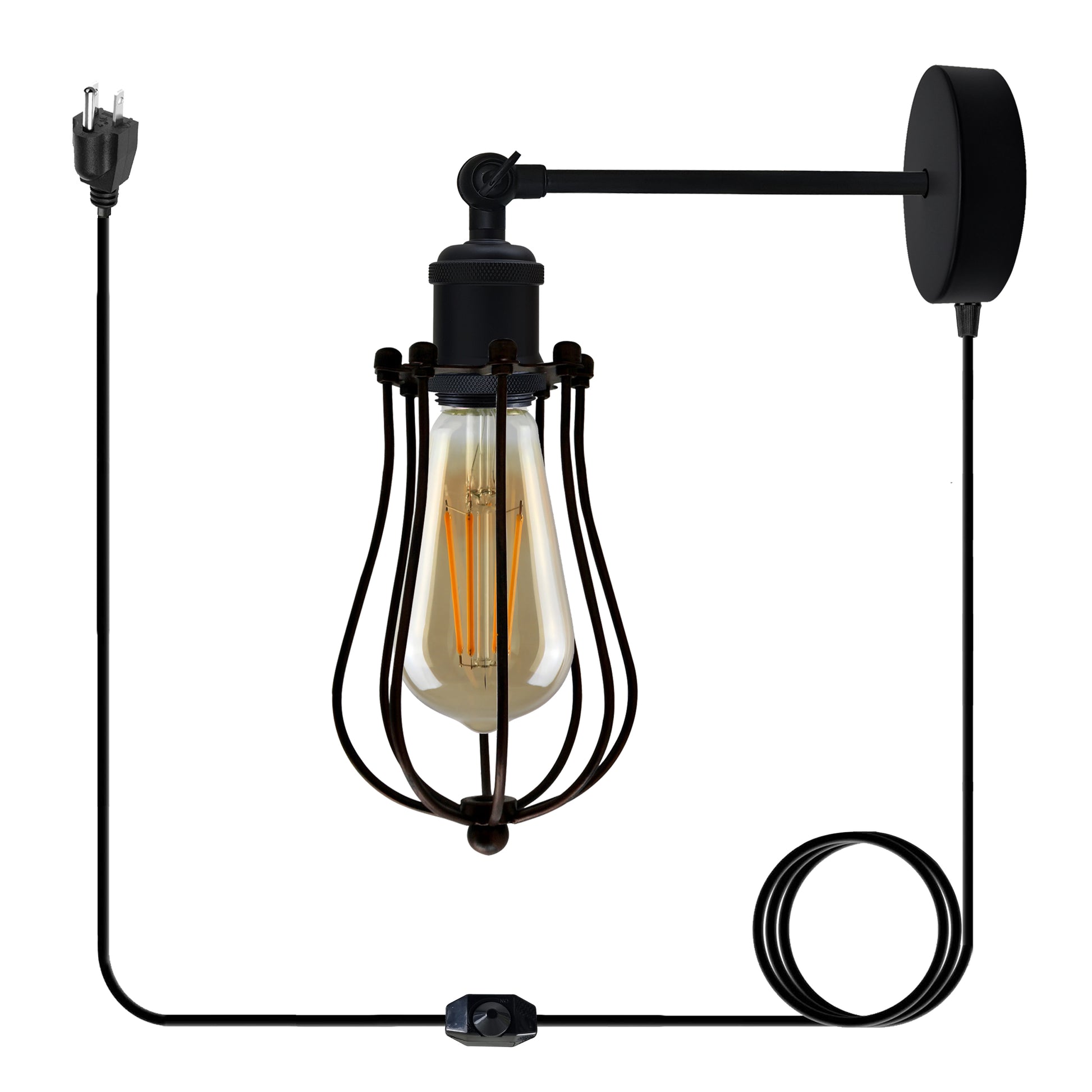  Balloon Wire Cage Plug-in wall Lamp .JPG